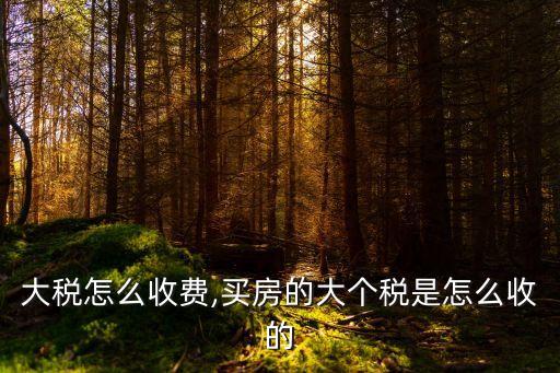 大税怎么收费,买房的大个税是怎么收的
