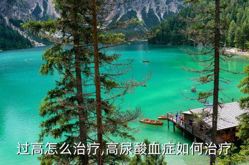 尿酸过高怎么治疗,高尿酸血症如何治疗?