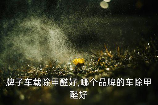 什么牌子车载除甲醛好,哪个品牌的车除甲醛好?