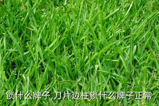 锁什么牌子,刀片边柱锁什么牌子正常