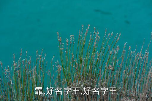 王一霏,好名字王,好名字王