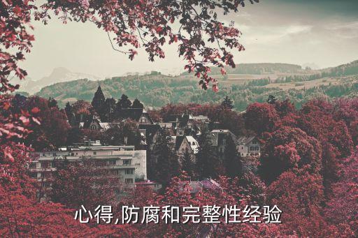 反腐心得,防腐和完整性经验