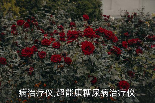 病治疗仪,超能康糖尿病治疗仪
