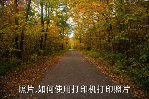 打印照片,如何使用打印机打印照片