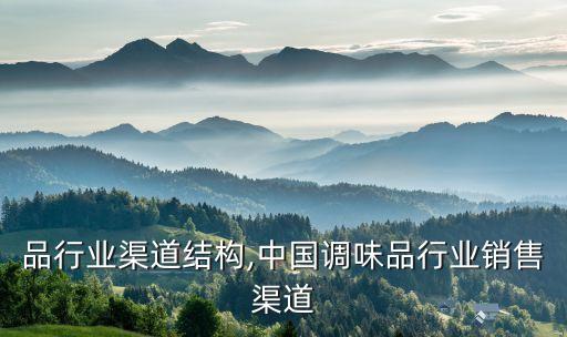 调味品行业渠道结构,中国调味品行业销售渠道