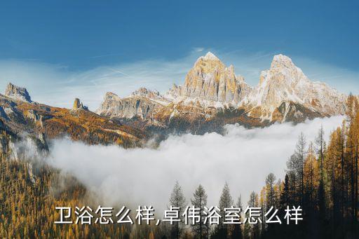 卫浴怎么样,卓伟浴室怎么样