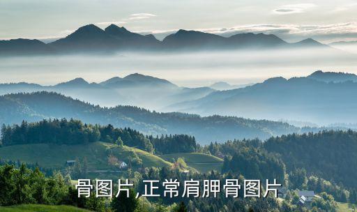 肩胛骨图片,正常肩胛骨图片