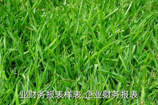 各行业财务报表样表,企业财务报表
