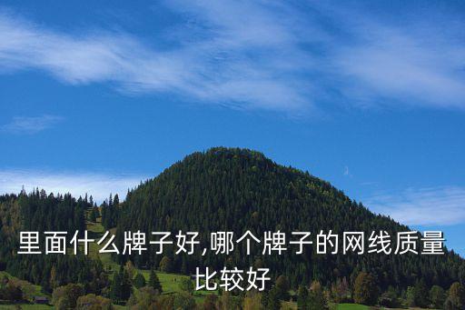 网线里面什么牌子好,哪个牌子的网线质量比较好?