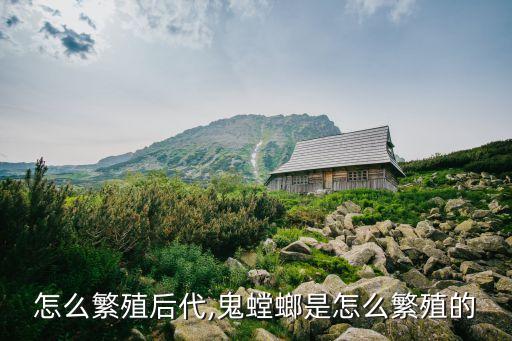 螳螂怎么繁殖后代,鬼螳螂是怎么繁殖的?