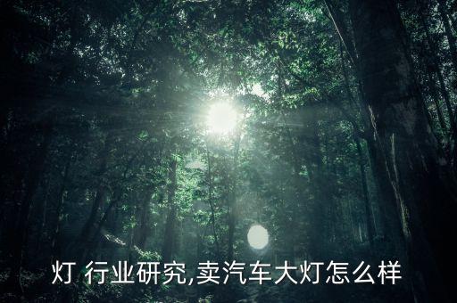 汽车灯 行业研究,卖汽车大灯怎么样?