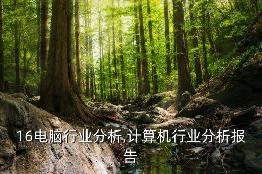 16电脑行业分析,计算机行业分析报告