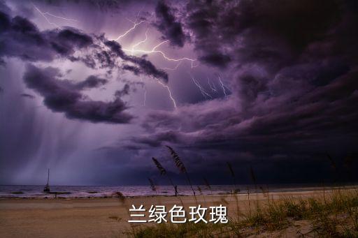 苏格兰绿色玫瑰