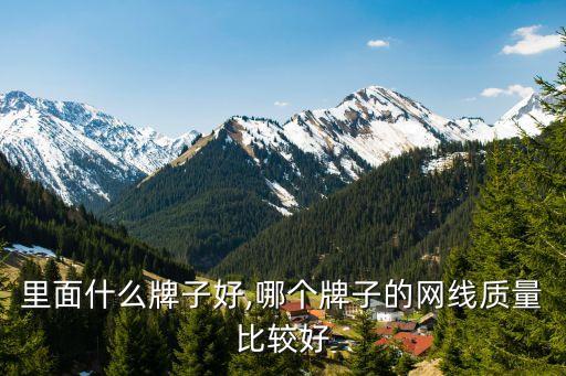 里面什么牌子好,哪个牌子的网线质量比较好