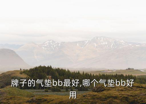 什么牌子的气垫bb最好,哪个气垫bb好用?