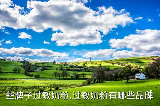 些牌子过敏奶粉,过敏奶粉有哪些品牌