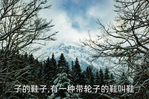 带轮子的鞋子,有一种带轮子的鞋叫鞋?