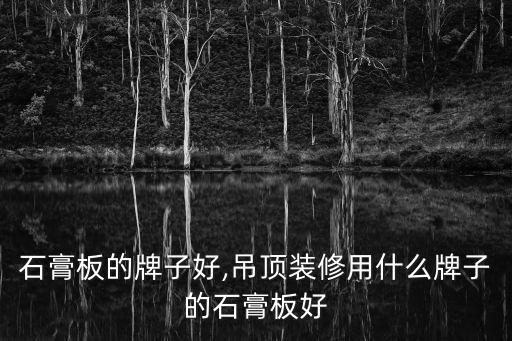 吊顶石膏板的牌子好,吊顶装修用什么牌子的石膏板好?