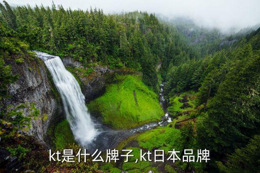 kt是什么牌子,kt日本品牌