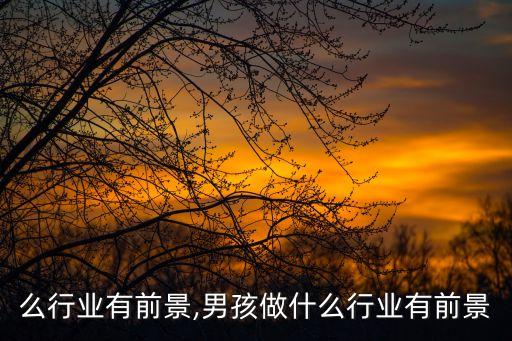 做什么行业有前景,男孩做什么行业有前景