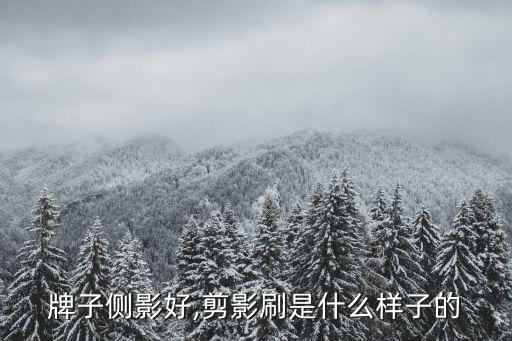 什么牌子侧影好,剪影刷是什么样子的?