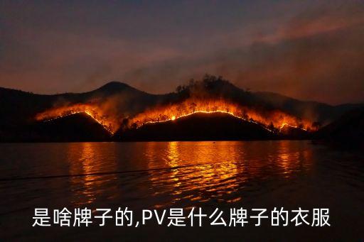 迅销是啥牌子的,PV是什么牌子的衣服?