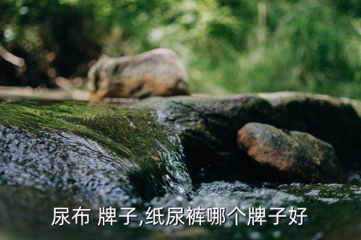 尿布 牌子,纸尿裤哪个牌子好