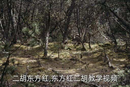 初学二胡东方红,东方红二胡教学视频