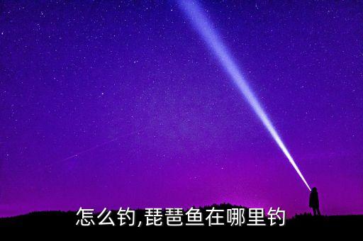 方鱼怎么钓,琵琶鱼在哪里钓?