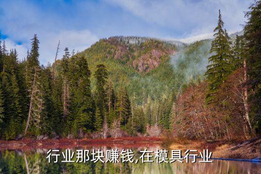 模具行业那块赚钱,在模具行业