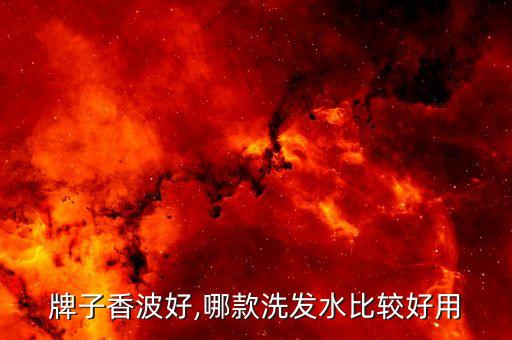 牌子香波好,哪款洗发水比较好用