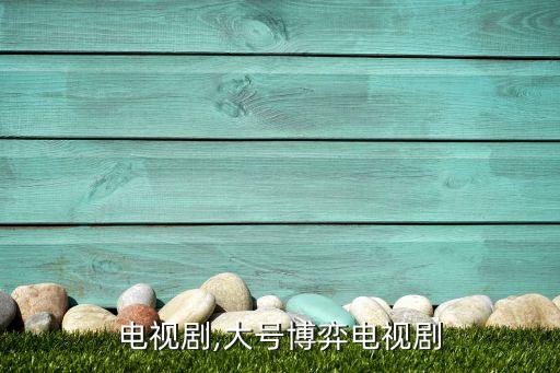 电视剧,大号博弈电视剧