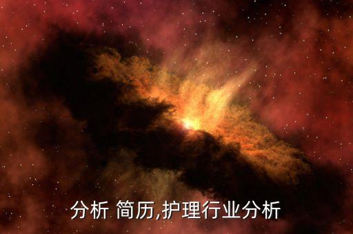 分析 简历,护理行业分析