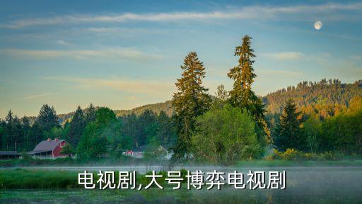 博弈电视剧,大号博弈电视剧