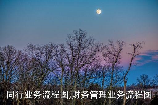 同行业务流程图,财务管理业务流程图