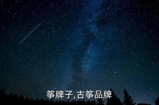 电古筝牌子,古筝品牌
