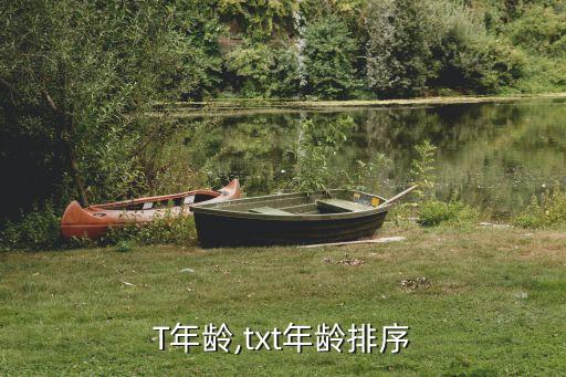 TXT年龄,txt年龄排序