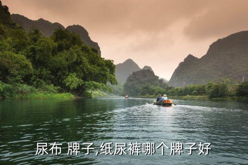 尿布 牌子,纸尿裤哪个牌子好