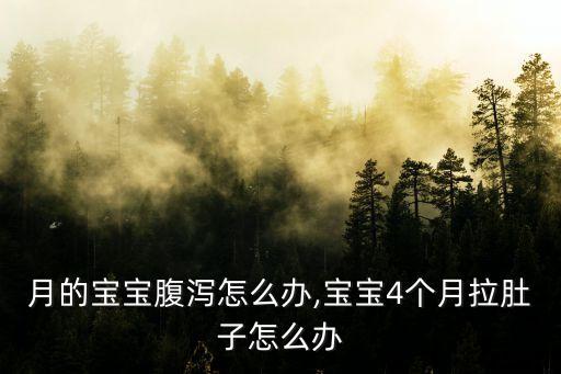 月的宝宝腹泻怎么办,宝宝4个月拉肚子怎么办