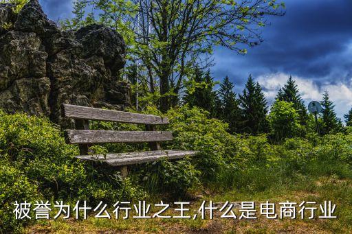 被誉为什么行业之王,什么是电商行业