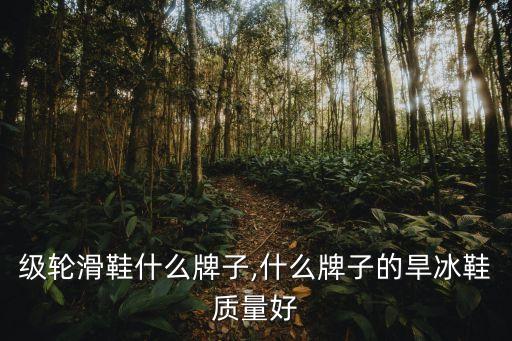 级轮滑鞋什么牌子,什么牌子的旱冰鞋质量好