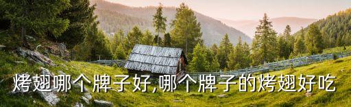 真空烤翅哪个牌子好,哪个牌子的烤翅好吃?
