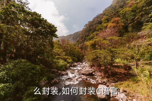 么封装,如何封装C语言