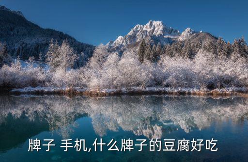 豆包牌子 手机,什么牌子的豆腐好吃?