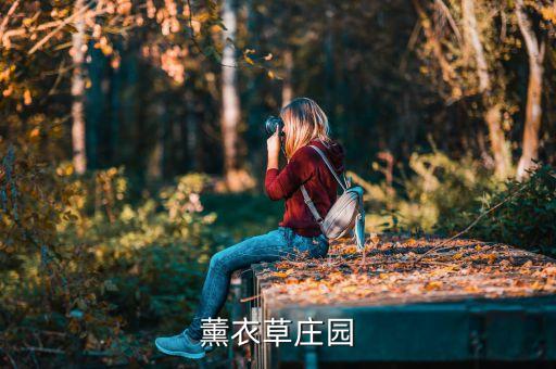 洛阳薰衣草庄园