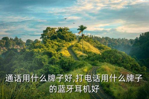 国内通话用什么牌子好,打电话用什么牌子的蓝牙耳机好?