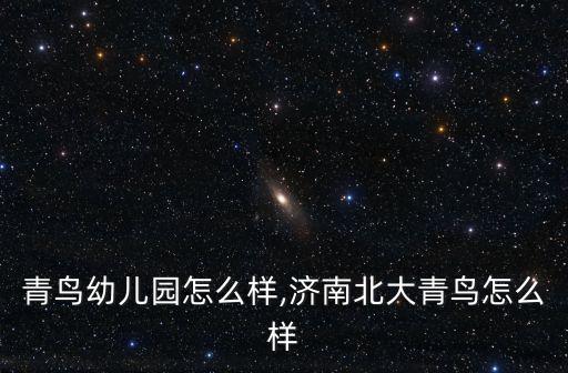 北大青鸟幼儿园怎么样,济南北大青鸟怎么样?