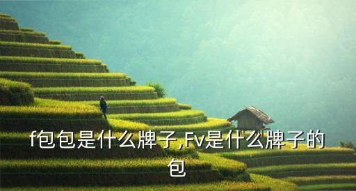 f包包是什么牌子,Fv是什么牌子的包