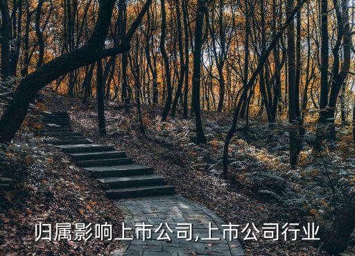 行业归属影响上市公司,上市公司行业