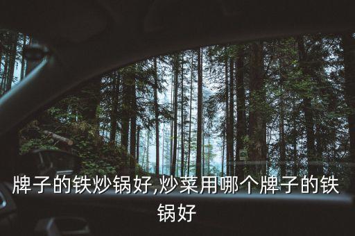 牌子的铁炒锅好,炒菜用哪个牌子的铁锅好